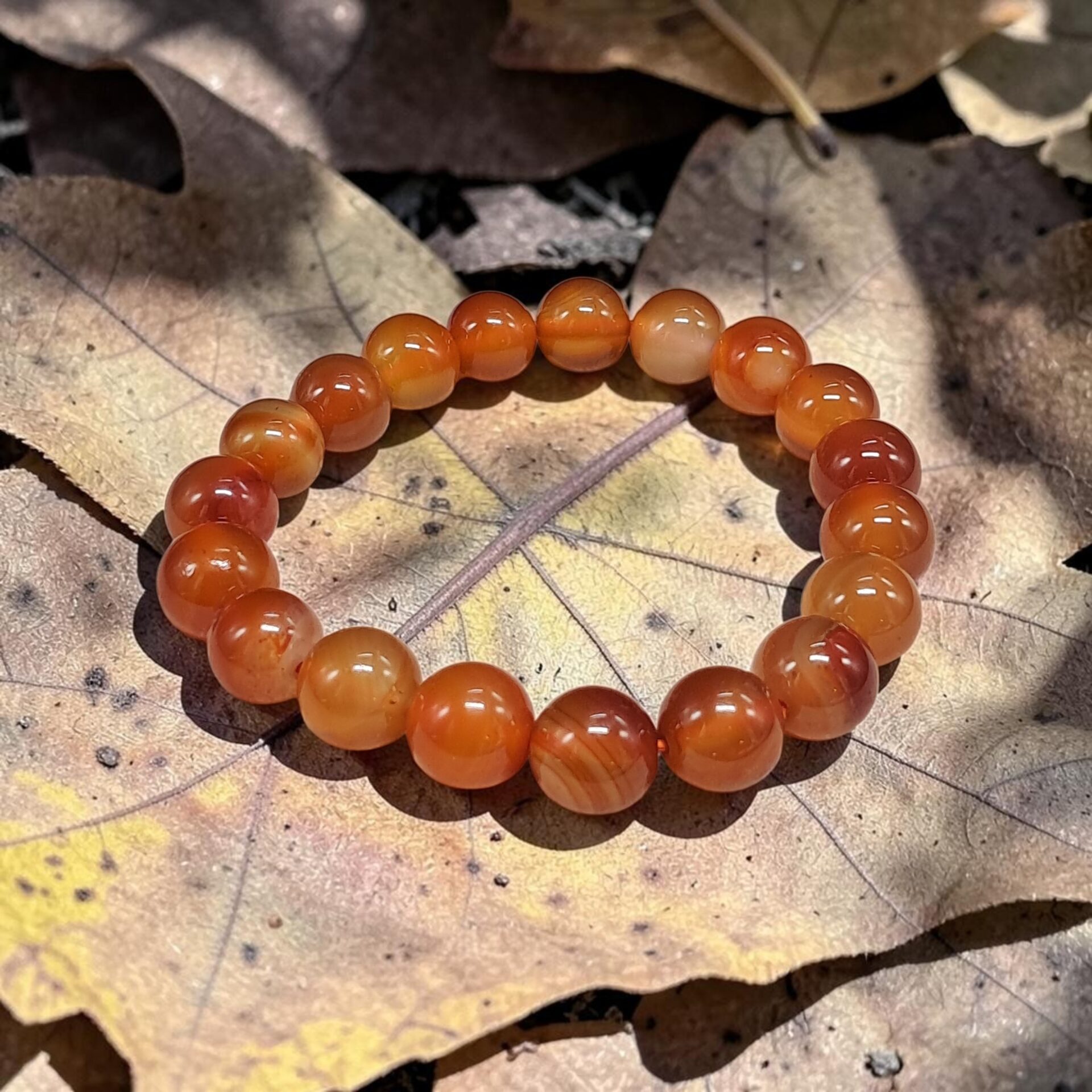 Bracelet cornaline 10mm